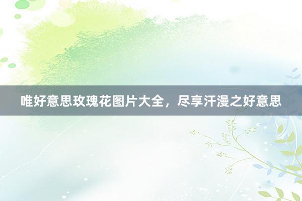 唯好意思玫瑰花图片大全，尽享汗漫之好意思